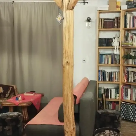 Zloty Klon * Kijanka