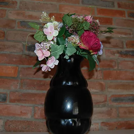 农家乐 Zloty Klon