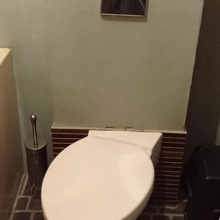 Zloty Klon 农家乐 Kijanka