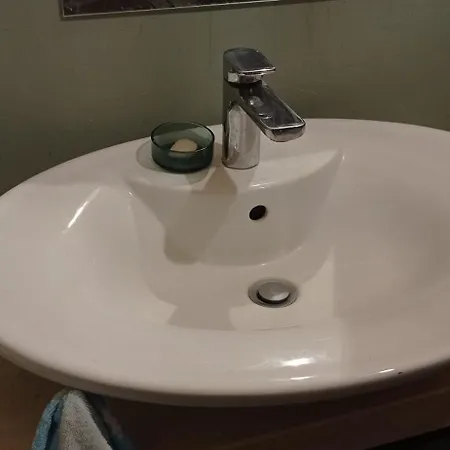 Zloty Klon 农家乐 *