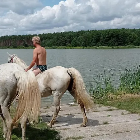 Zloty Klon 农家乐 Kijanka