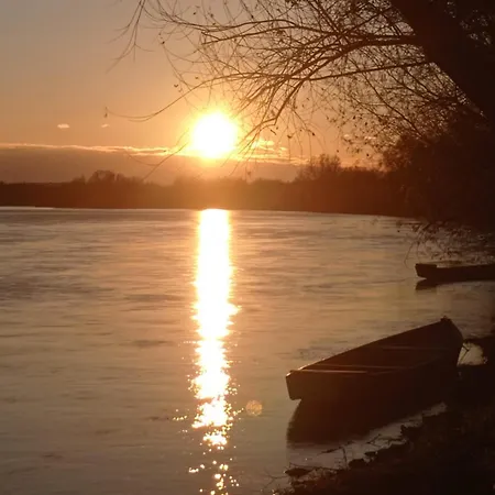 农家乐 Zloty Klon *