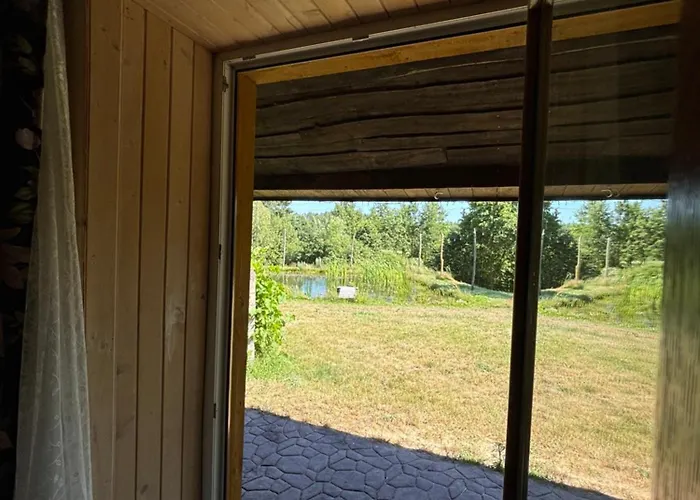 Zloty Klon * Kijanka