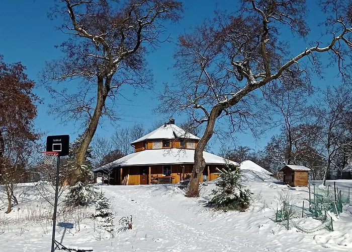 Zloty Klon * Kijanka