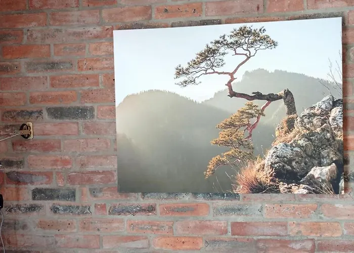 Zloty Klon Bauernhof *