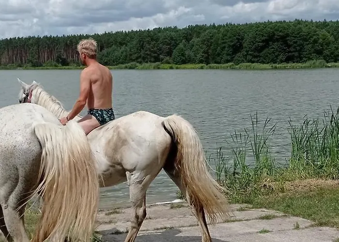 Zloty Klon Bauernhof Kijanka