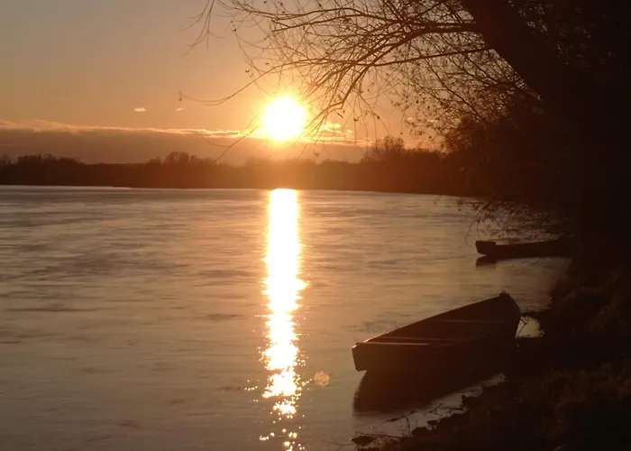 Bauernhof Zloty Klon *